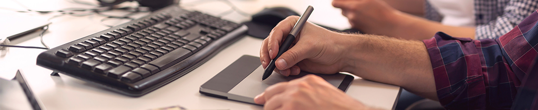 Diseñador web: qué es y qué hace