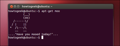 programar en ubuntu
